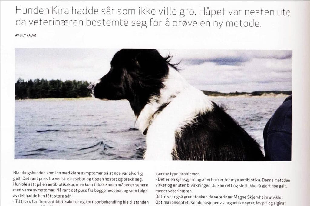 10-kira-Optima-1024x680.jpg 10-kira-Optima-1024x680.jpg