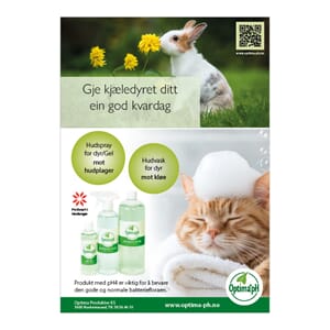 Plakat A4 Kjæledyr