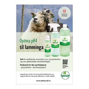 Plakat A4 Lamming