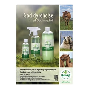 Plakat A3 Dyr