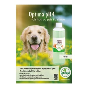 Plakat A4 Hundesjampo