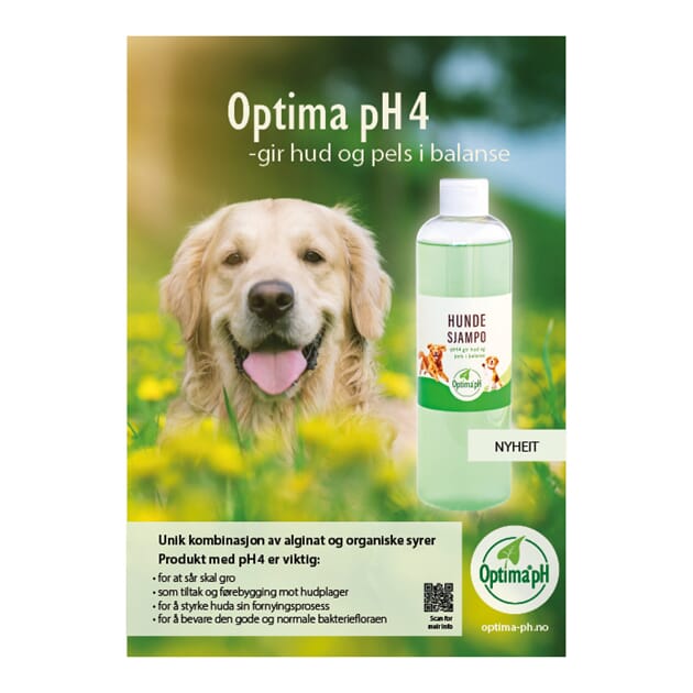 Plakat-5.jpg